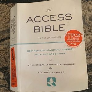 The Access Bible